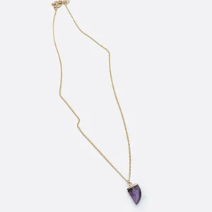 Mercules Bisuteria | Collar Cuerno Morado