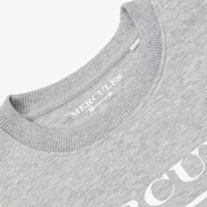 Mercules Sudaderas | Sudadera Logo Gris